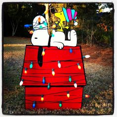 a cat sitting on top of a red box with christmas lights around it and an image of a dog in the background