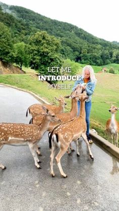 a woman standing next to a herd of deer on top of a road with trees in the background