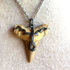 Unusual Megalodon Tooth Pendant Set With Diamonds. Definitely A Conversation Starter. Measures 18”. Olive Jewelry, Tooth Pendant, Olive Tan, Megalodon Tooth, Pendant Set, Black Tan, Black And Tan, Womens Jewelry Necklace, Jewelry Necklaces