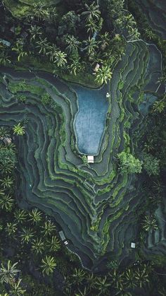 an aerial view of some trees and water in the middle of it's land