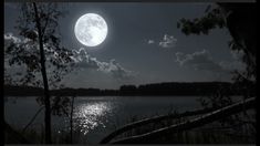 the full moon shines brightly in the night sky over a body of water and trees