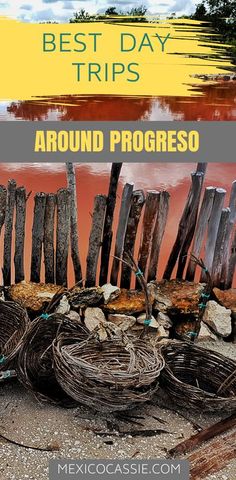 the best day trips around progreso, mexico with text overlaying it