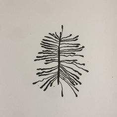 a black and white drawing of a leaf on a white paper with the words, plant life written below it