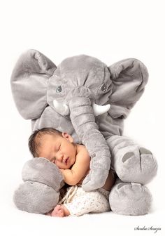 a baby sleeping next to an elephant stuffed animal