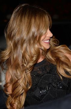 Sophia Vergara Hair, Sofia Vergara Hair, Golden Brown Hair, Long Face Hairstyles, Haircut Styles, Honey Hair, Super Hair