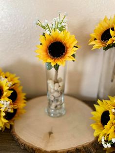 three vases with sunflowers in them on a wooden table next to rocks