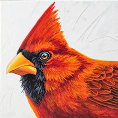 a painting of a red bird with yellow beak and black head, on white paper