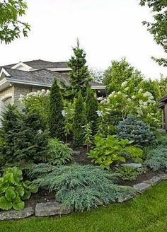 a house with lots of trees and bushes in the front yard