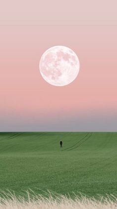 two people are walking through the grass in front of a pink sky with a full moon