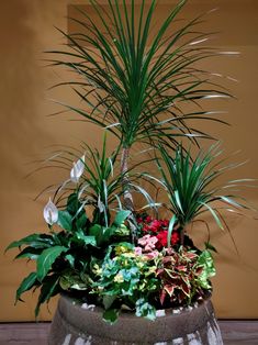 a potted plant sitting on top of a wooden table