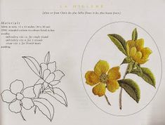 an open book with drawings of flowers and leaves on the pages, including one yellow flower