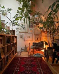 a living room filled with lots of plants next to a fire place and bookshelf