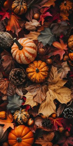 many different types of autumn leaves and pumpkins