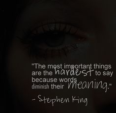 the most important things are the words to say because words diminish their meaning - stephen king