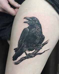 a black bird sitting on top of a tree branch next to a person's leg