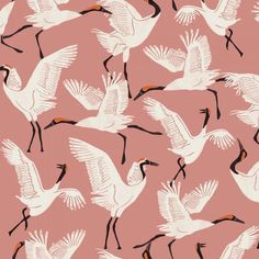 Family of Cranes Dusty Rose Self-Adhesive Wallpaper from the Novogratz Collection by Tempaper Dance Wallpaper, Smooth Wallpaper, Matte Paint, Temporary Wallpaper, Washington Square Park, Crane Bird, Rose Family, Wallpaper Samples