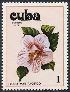 a postage stamp with a flower on it