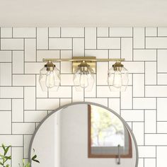 a bathroom with a round mirror on the wall next to a sink and a potted plant