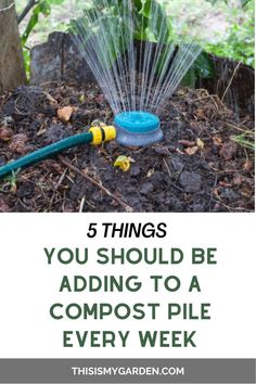 A hose with a small sprinkler attached spraying water into a compost pile. From thisismygarden.com. Victory Garden Plans, Growing Vegetables In Pots, Compost Pile, Compost Soil, Vegetable Garden Raised Beds, Composting At Home, Compost Tea