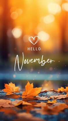 autumn leaves with the words hello november