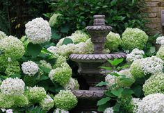 a fountain surrounded by white flowers and greenery