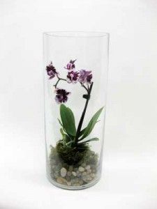 a glass vase filled with rocks and flowers