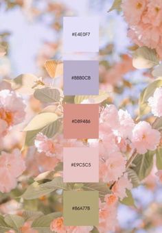 the color scheme for pink flowers is shown in shades of green, yellow and brown