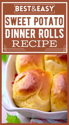 Explore the joy of baking with this Sweet Potato Dinner Rolls recipe from Bunny's Warm Oven - where simple ingredients make magic. Sweet Potato Dinners, Breakfast Casserole Sweet Potato, Breakfast Casserole Sweet, Potato Dinner Rolls Recipe, Potato Dinners, Potato Dinner Rolls, Breakfast Sweet Potato, Dinner Rolls Easy, Sweet Potato Rolls