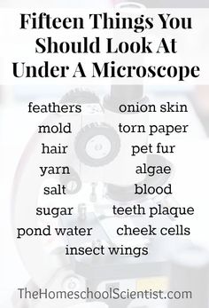 a microscope with text that reads, fifteen things you should look at under a microscope