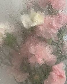 some pink flowers are sitting on the window sill in the rain, with drops of water all over them