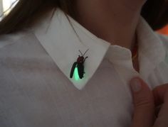 Weird Necklaces, Big Dipper, Glow In Dark, Insect Jewelry, Cool Pins, Funky Jewelry, Cute Pins, Pretty Jewellery, Firefly