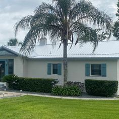 a white house with blue shutters and a palm tree in the front yard on a cloudy day