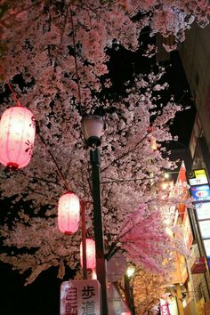 the street is lit up with pink flowers and lanterns