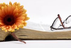 an open book with glasses on it and a flower in front of it royalty images