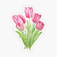 watercolor painting of pink tulips sticker