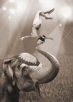 two people are riding on top of an elephant's head while another person jumps off the elephant