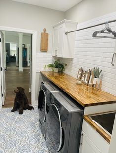 a dog sitting on the floor next to a washer and dryer in a kitchen