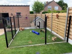 a small backyard with a fenced in dog run