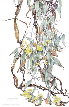 a painting of yellow flowers and green leaves on a branch with long thin branches in the foreground