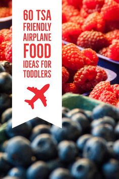 there is a sign that says go tsa friendly airplane food ideas for toddlers