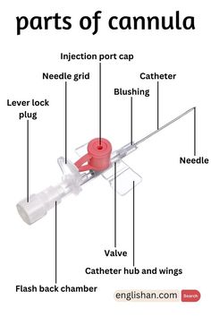 Types Of Nurses, Types Of Injection, Phlebotomy Study, Medical Infographic, Medical Terminology Study, Doctor Medicine