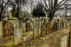 an old cemetery with the caption it has been calculated that 95 % of all humans who have ever visited are dead