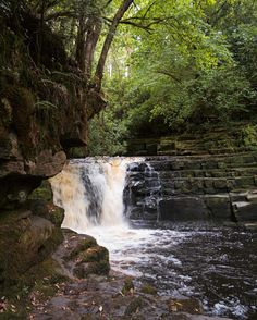 a small waterfall in the middle of a forest