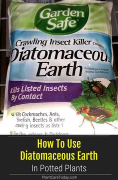 how to use diatomacous earth in potted plants and other indoor pests