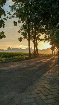 the sun is setting behind some trees on the side of the road in front of an open field