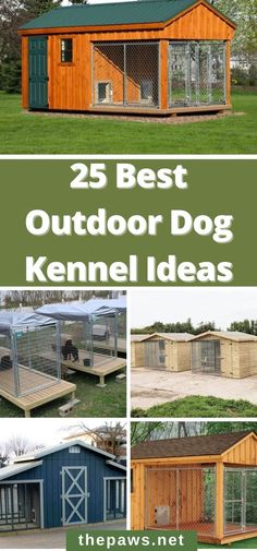 the 25 best outdoor dog kennel ideas