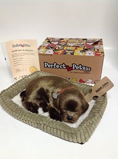 a small puppy sleeping in a dog bed next to some boxes and papers on the table