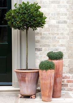 two large pots sitting next to each other in front of a brick wall with the word musso on it