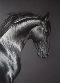 a black and white photo of a horse