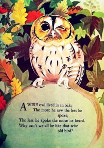 an owl sitting on top of a rock surrounded by leaves and flowers with the words wise lived in oak